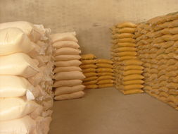 供应玉米 玉米面粉
